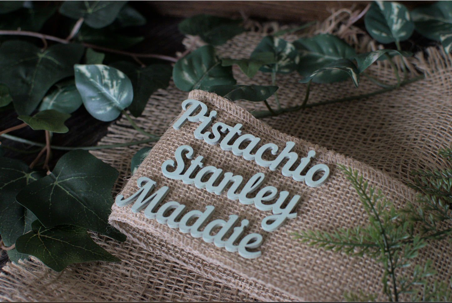 Laser Cut Place Names, Wedding Place Names, Wooden Place Names, Wedding Favours